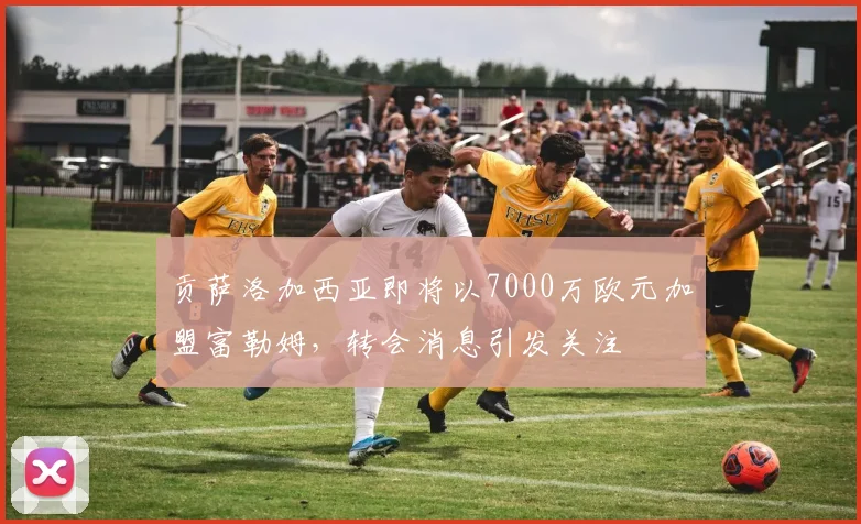 贡萨洛加西亚即将以7000万欧元加盟富勒姆，转会消息引发关注