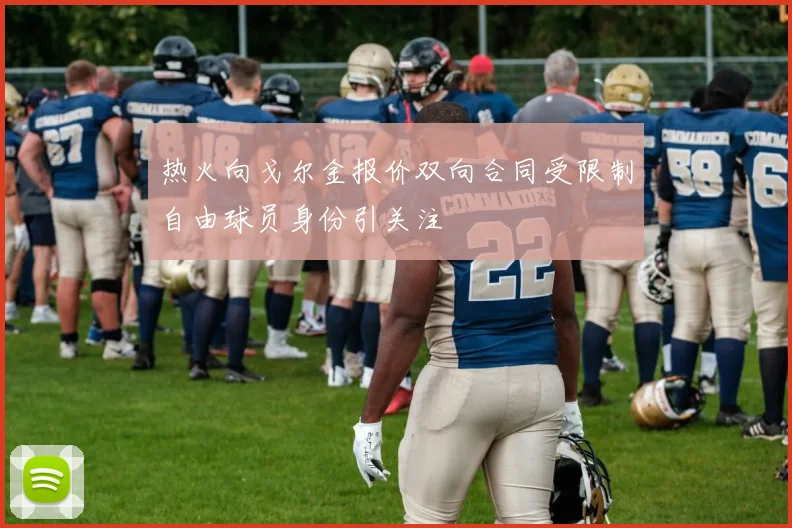 热火向戈尔金报价双向合同受限制自由球员身份引关注