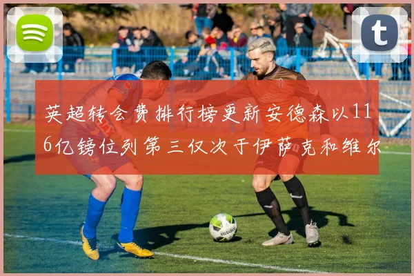 英超转会费排行榜更新安德森以116亿镑位列第三仅次于伊萨克和维尔茨